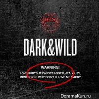 BTS - DARK & WILD