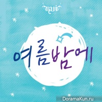 Navi – Summer Night