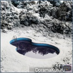 Suran – Winter Bird