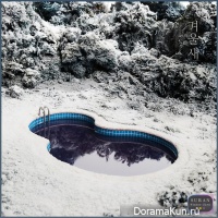 Suran – Winter Bird
