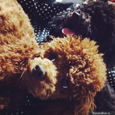 Ким Кибом (Key) из SHINee в Instagram