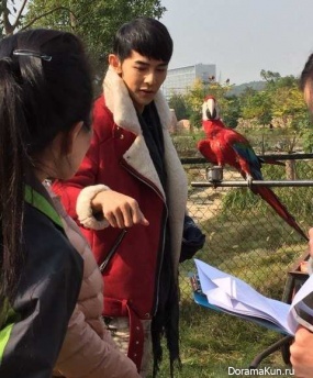 Jiro Wang