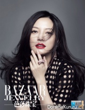 Zhao Wei