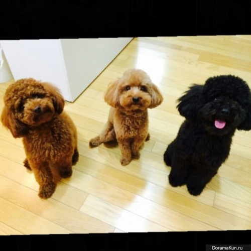 SHINee