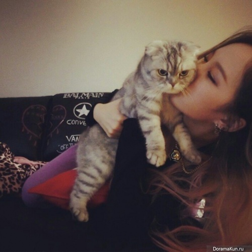 Jia