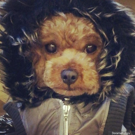 Минзи