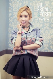 SECRET