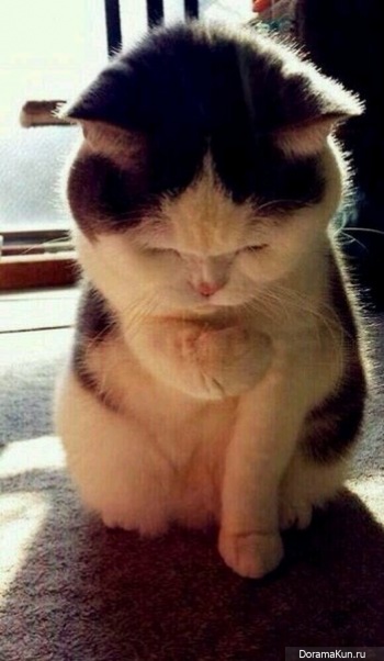 Оккэт
