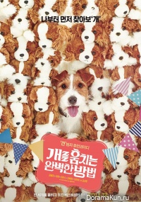 How to Steal a Dog