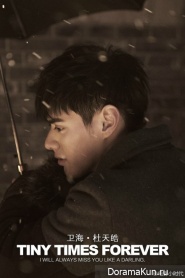 Tiny Times 3.0