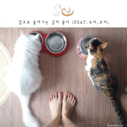 Hoya, Moya