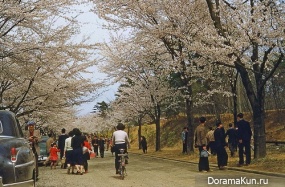 1953 Tokyo-sakura