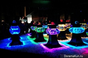Art Aquarium1