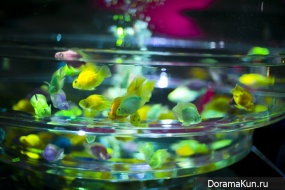 Art Aquarium3