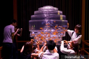 Art Aquarium5