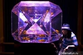 Art Aquarium6