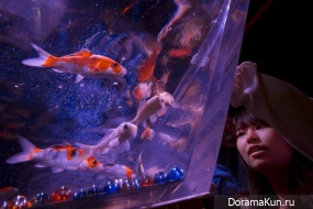 Art Aquarium7