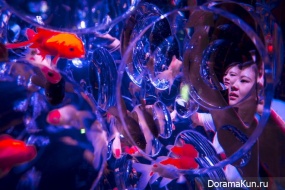 Art Aquarium8