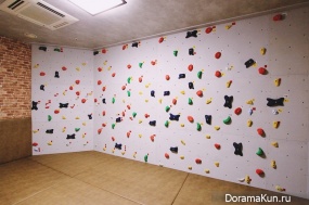 wall