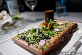 Dishes from the earth