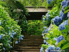 greenery Day