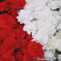 Mother's Day in Japan