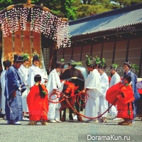 Aoi Matsuri