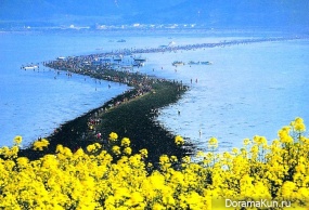 Festivals South Korea