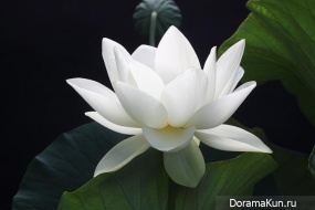 Festivals South Korea
