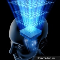 Brain