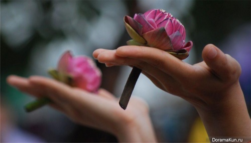 Festival offerings lotus