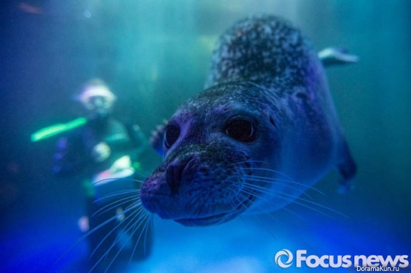 Hanwha Aqua Planet