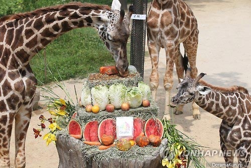 korea-news-21