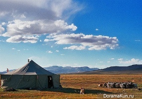 The Nomad