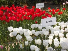 YOKOHAMA PARK