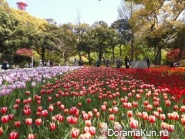 YOKOHAMA PARK