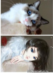 Xuedaixun