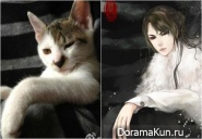Xuedaixun