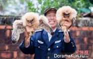 China rescue owls