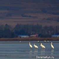 environmental protection