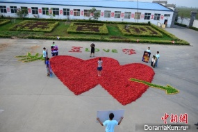 Love and pepper