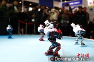 World conference robotics in Beijing