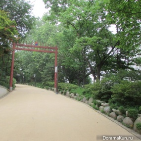 Confessions of a blonde in Seoul