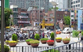 Confessions of a blonde in Seoul