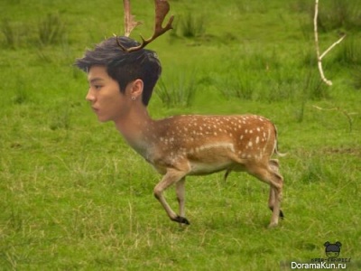 Day Deer