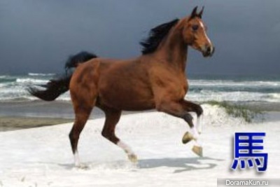 horse