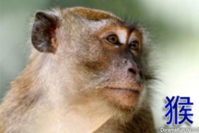 monkey