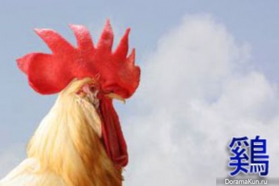 cock