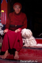 Tibetan Terrier
