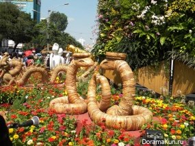 Vietnam